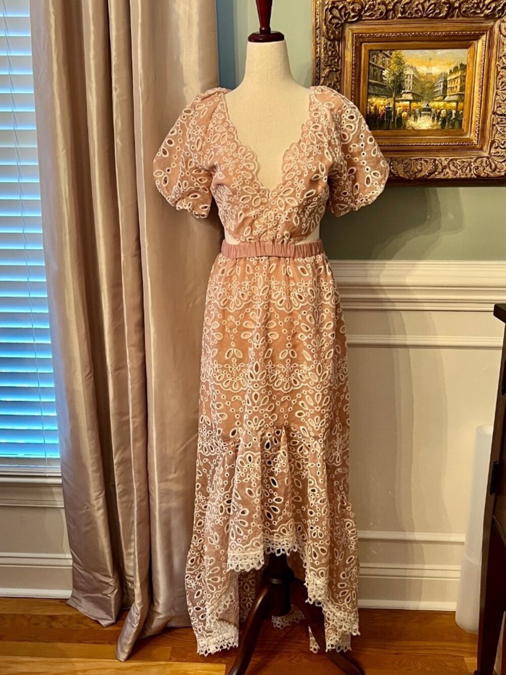 NWT $330 ELLIATT Melancholy Eyelet Maxi Dress in Blush Pink Size XS